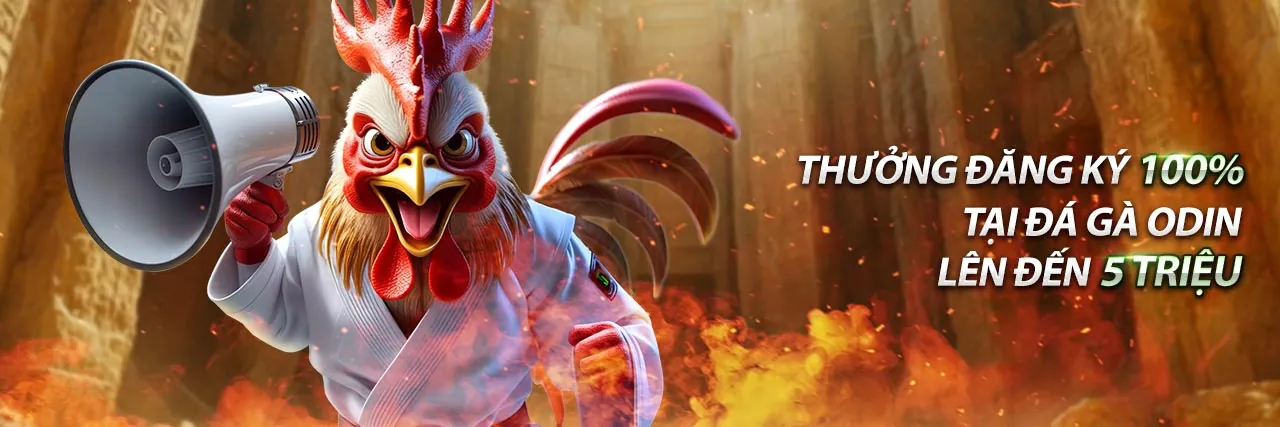 Hình ảnh minh họa đảm bảo an toàn và tuân thủ tại nh88 nhà cái