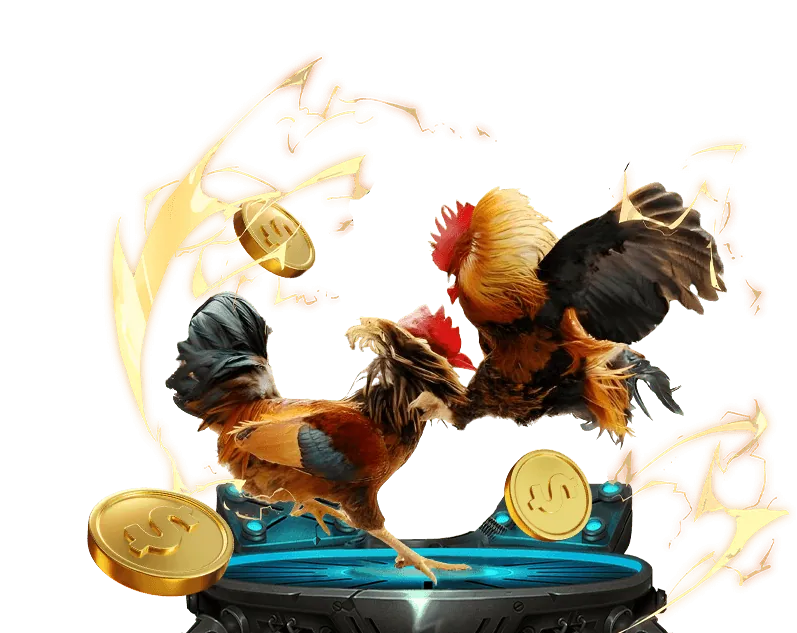 Cài đặt ứng dụng trên điện thoại